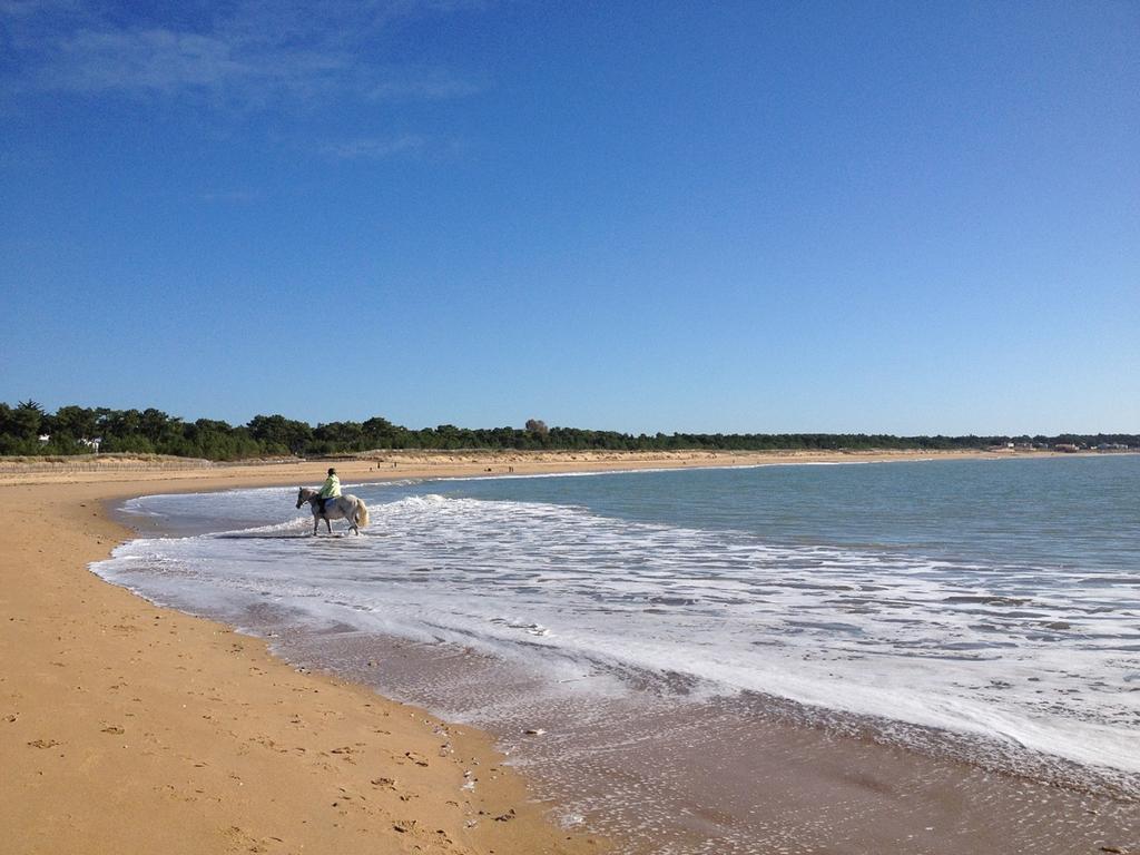 Appartement bord de plage Tranche s/mer La Tranche-sur-Mer Rom bilde